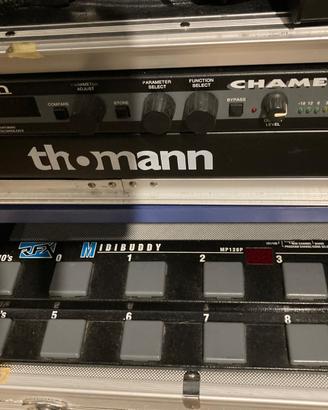 Multieffetto Ricktron  per chitarra