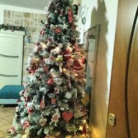 albero di natale 
