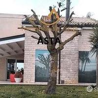 Villa Singola con Ampio Terreno (Ragusa)