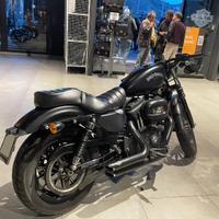 Harley Davidson sportster 883 Iron