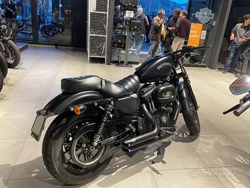 Harley Davidson sportster 883 Iron