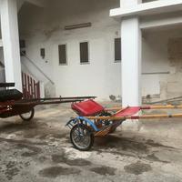 king per mezzo cavallo - king per cavallo grande