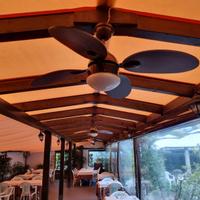 ventilatore da soffitto con luce