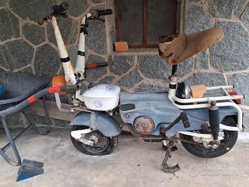 Motograziella Carnielli