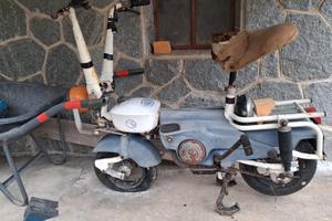 Motograziella Carnielli