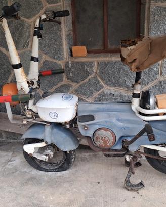 Motograziella Carnielli