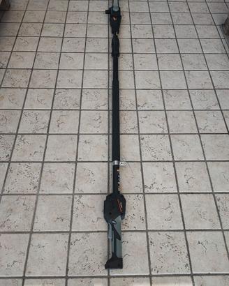 Potatore seghetto a batteria su asta
