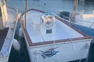 Barca Motore Entrobordo Iveco Aifo Turbo