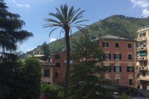 Ampio monolocale nervi disp 20/30 AGOSTO