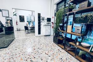 MULTILOCALE A MANTOVA