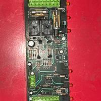 Scheda Elettronica CastelGarden