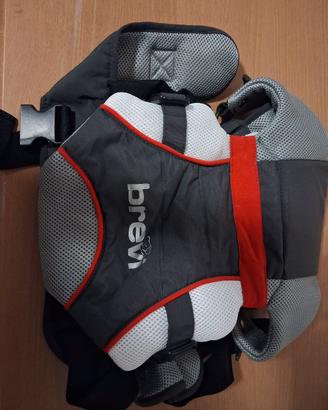 Marsupio brevi