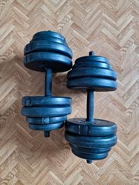 Set manubri 30 kg