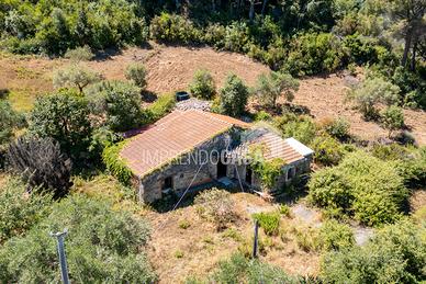 Il Fascino di una Casa nel Bosco: Oasi di Pace