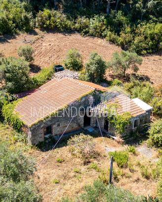Il Fascino di una Casa nel Bosco: Oasi di Pace
