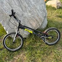 Jitsie trial 20
