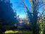 Immagine 13