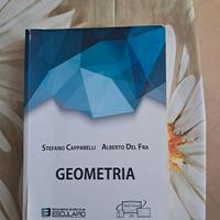 Geometria - Stefano Capparelli, Alberto del Fra