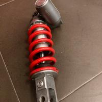 Carrello e ammortizzatori