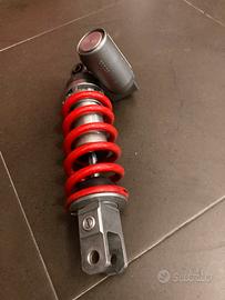 Carrello e ammortizzatori