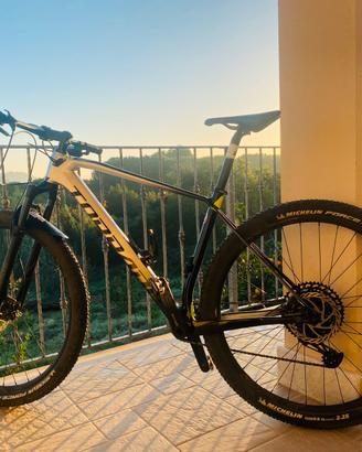MTB 29 in carbonio