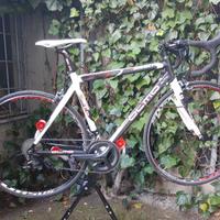 Bici da corsa Olmo