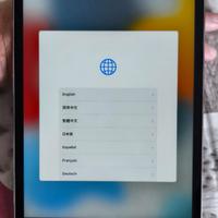 iPad Mini 4 Wi-Fi – 128 GB – Perfette condizioni!