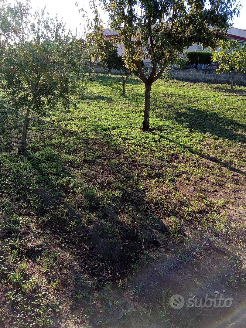 Terreno agricolo - Vista 4