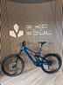 e-mtb-teewing-flux-one-a