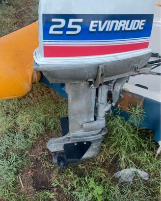 Motore Envirude 521