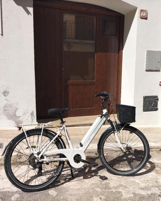 bicicletta elettrica 