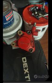 Pinza anteriore f 12
