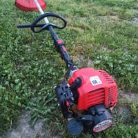 Decespugliatore Robin 