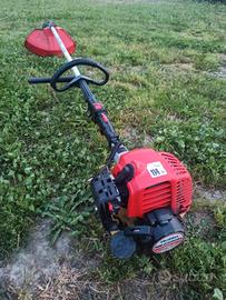 Decespugliatore Robin 