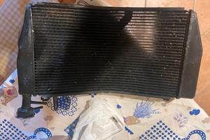 Radiatore Ducati Monster 821 2018/2020