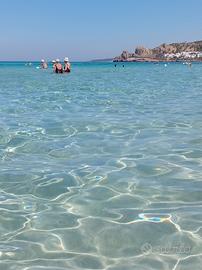 A 50m dalla spiaggia di sabbia da23 agosto