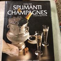 CATALOGO DEGLI SPUMANTI & CHAMPAGNES***