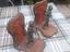 Immagine 2