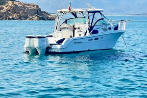 Wellcraft coastal 290 300 suzuki Permuto