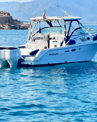 Wellcraft coastal 290 300 suzuki Permuto