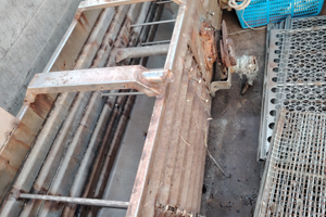 Vaglio e nastrino per vongole da peschereccio