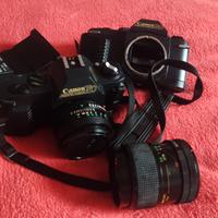 Canon T50 macchina fotografica 