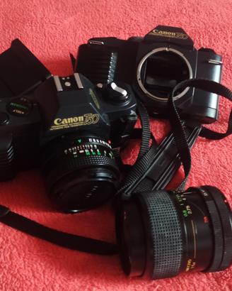 Canon T50 macchina fotografica 