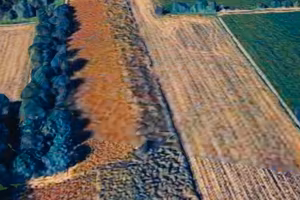 Terreno agricolo irrigato