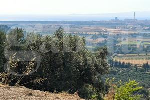 Casa Indipendente Scarlino [024/S040VRG]