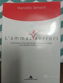 L'AMMAZZAERRORI
