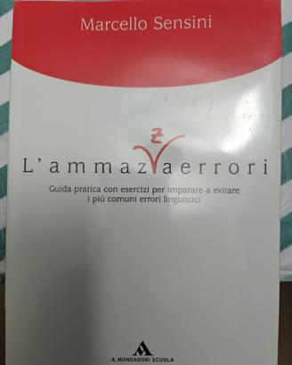 L'AMMAZZAERRORI