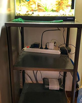 Acquario