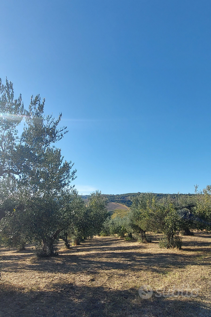 Terreno agricolo - Vista 4