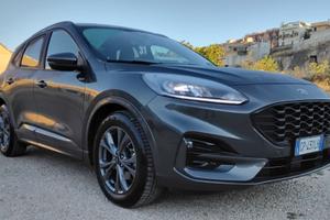 Ford Kuga 2.0 EcoBlue 120 CV aut. 2WD ST-Line